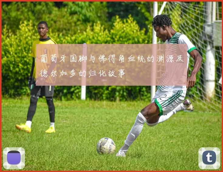 葡萄牙国脚与佛得角血统的渊源及德尔加多的归化故事