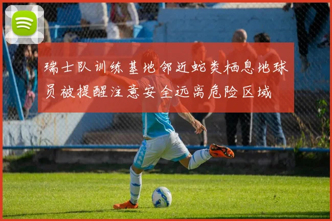 瑞士队训练基地邻近蛇类栖息地球员被提醒注意安全远离危险区域